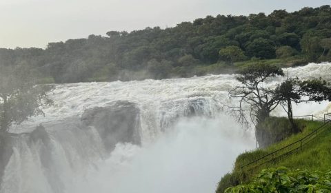 Top of the falls
